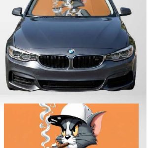 napvédő tom
